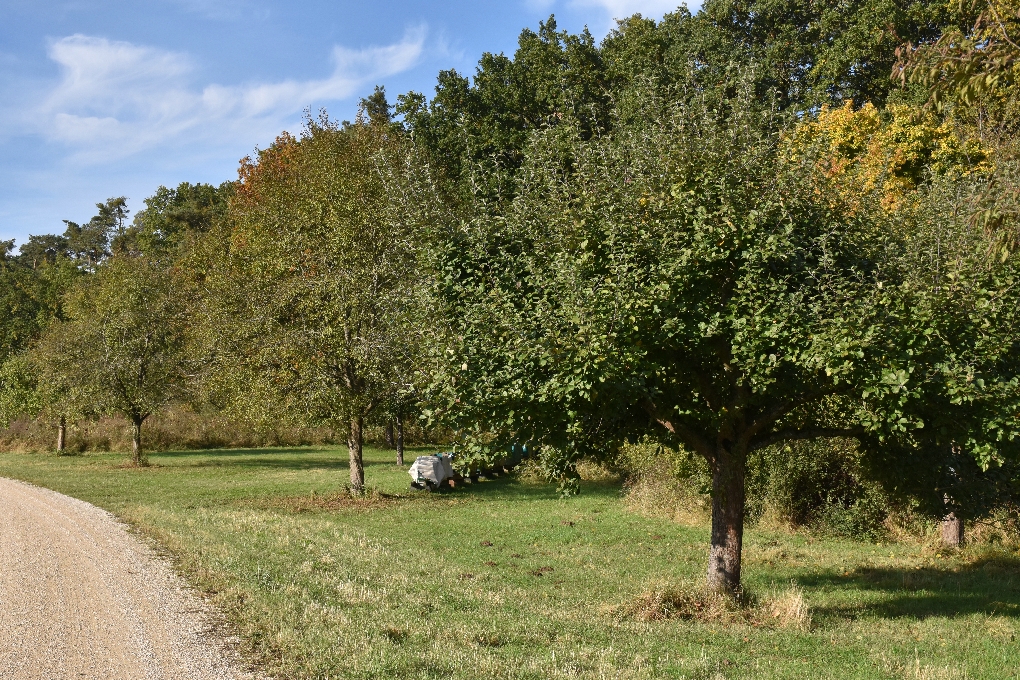 DSC_0016klein.jpg